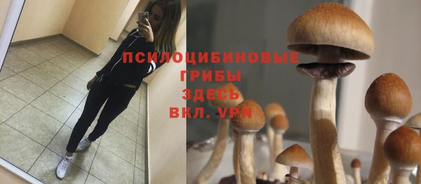дурь Балахна