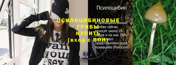 дурь Балахна