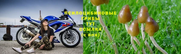 дурь Балахна